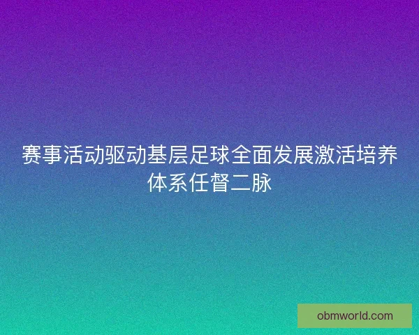 赛事活动驱动基层足球全面发展激活培养体系任督二脉