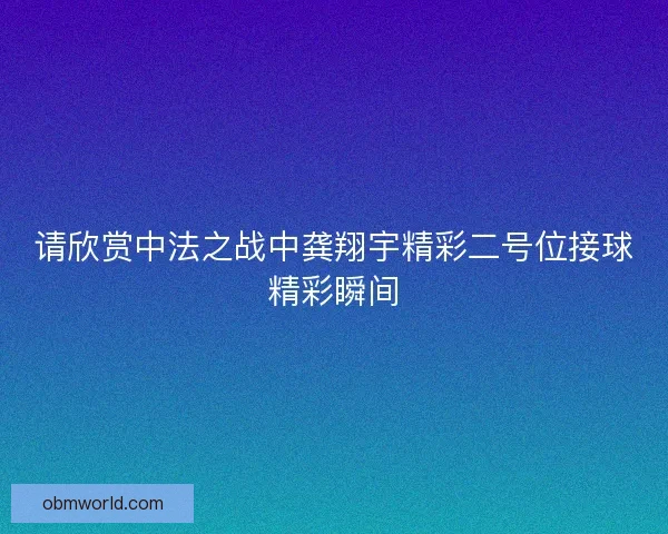 请欣赏中法之战中龚翔宇精彩二号位接球精彩瞬间